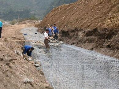 4829296941258366178.jpg 4829296941258366178.jpg