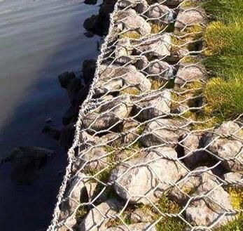 5302412381251177719.jpg 5302412381251177719.jpg