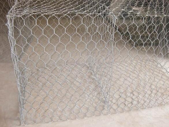 1780807161094521606.jpg 1780807161094521606.jpg