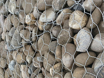 高爾凡雷諾護墊