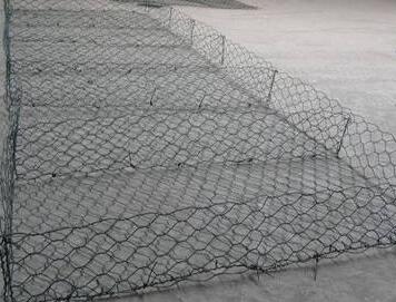 雷諾護墊 雷諾護墊